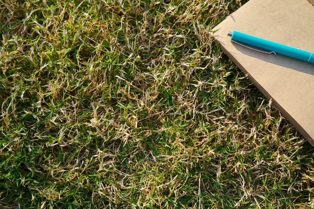 grass, notebook, pen